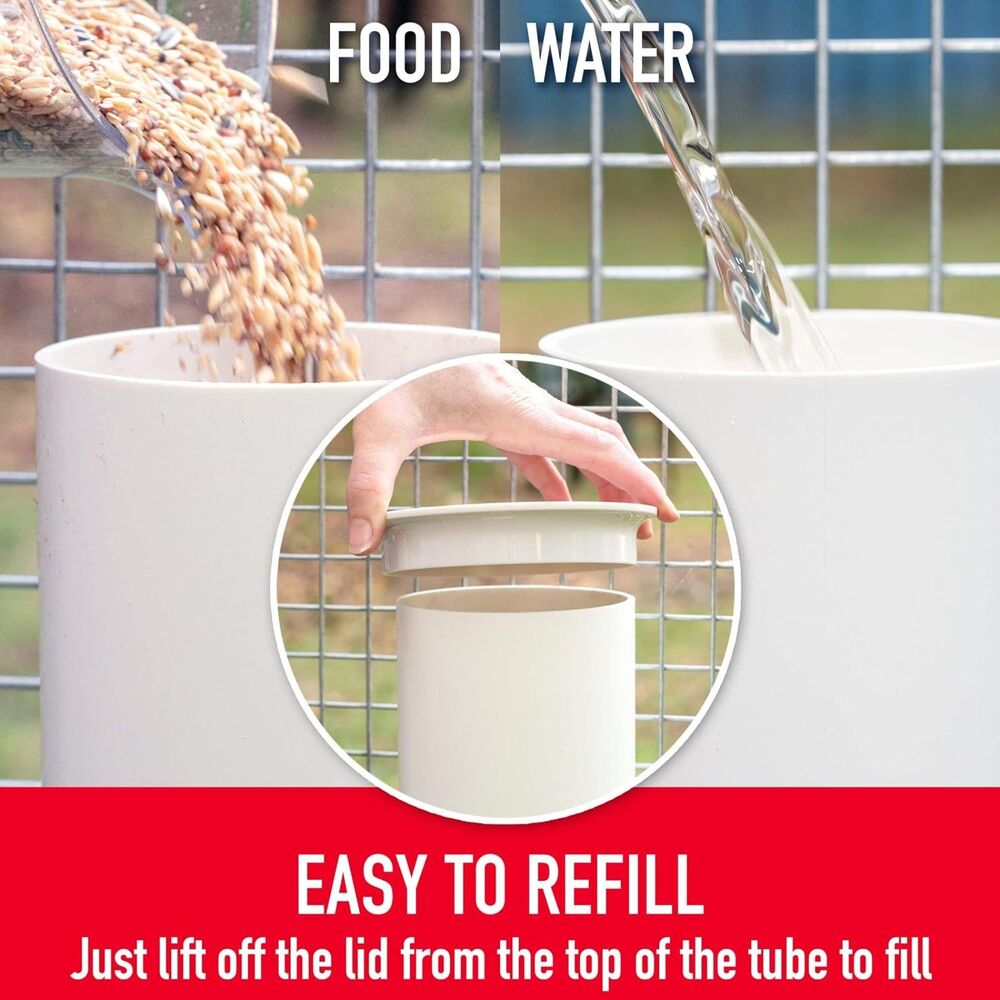Royal Rooster Chicken Feeder and Waterer Set, 1 Gal Waterer & 7lb Feeder - Picture 5 of 8
